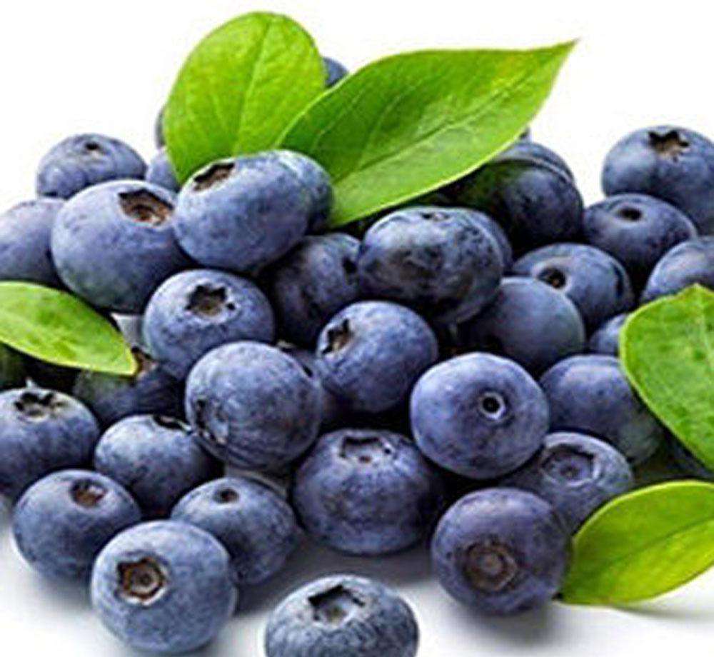 藍莓.jpg